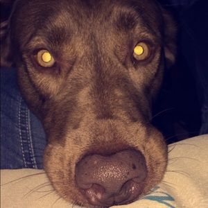 Meet your Posher, Lauryn